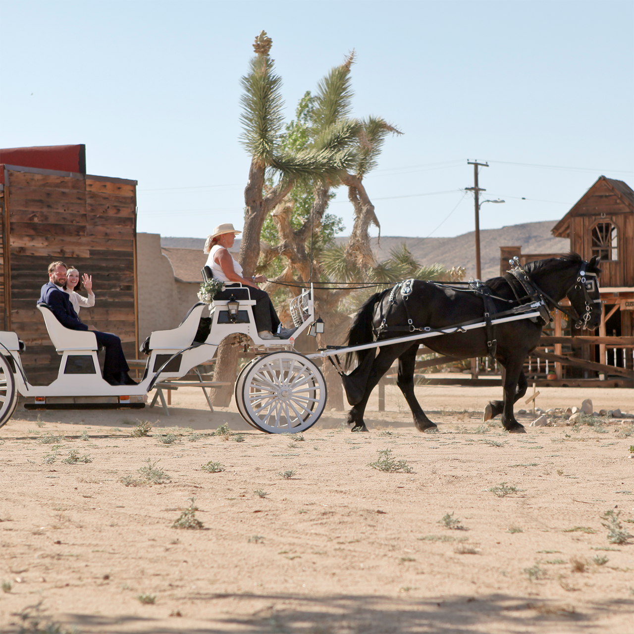 Desert wedding moment