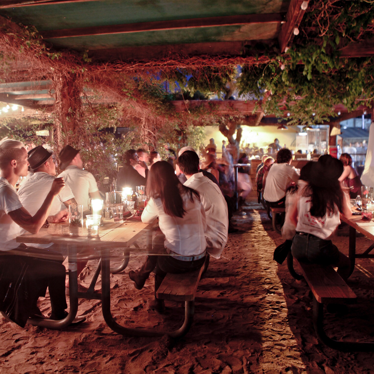 High desert community near Pioneertown and Joshua Tree