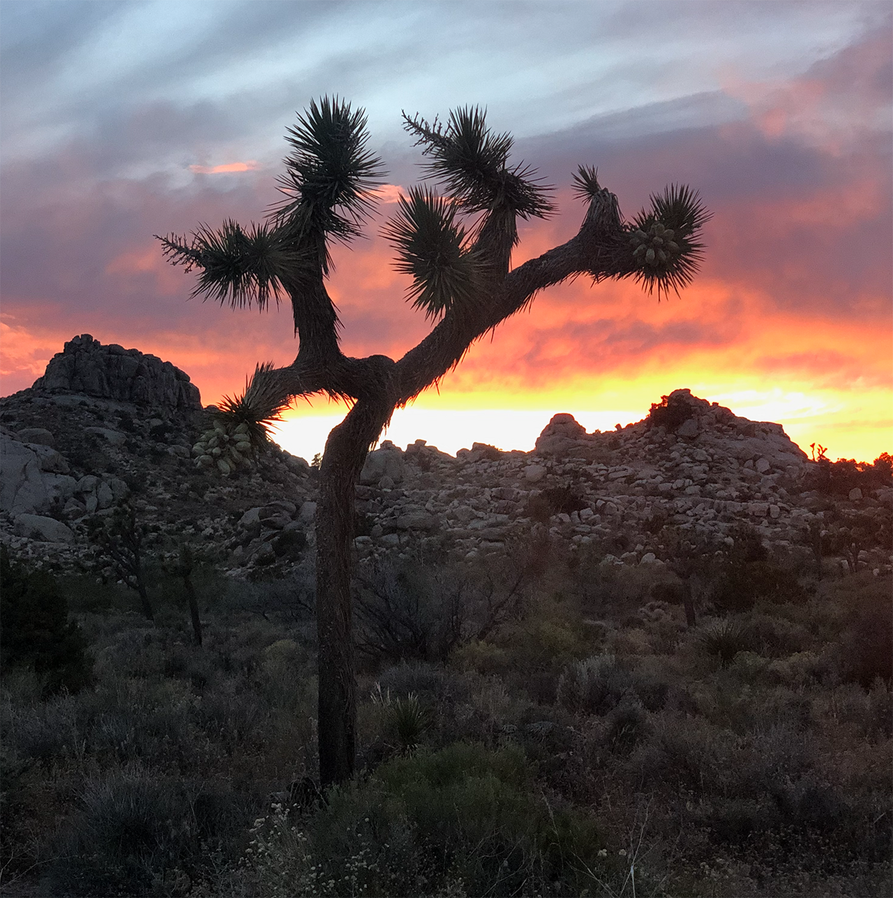 Boulders and desert panorama