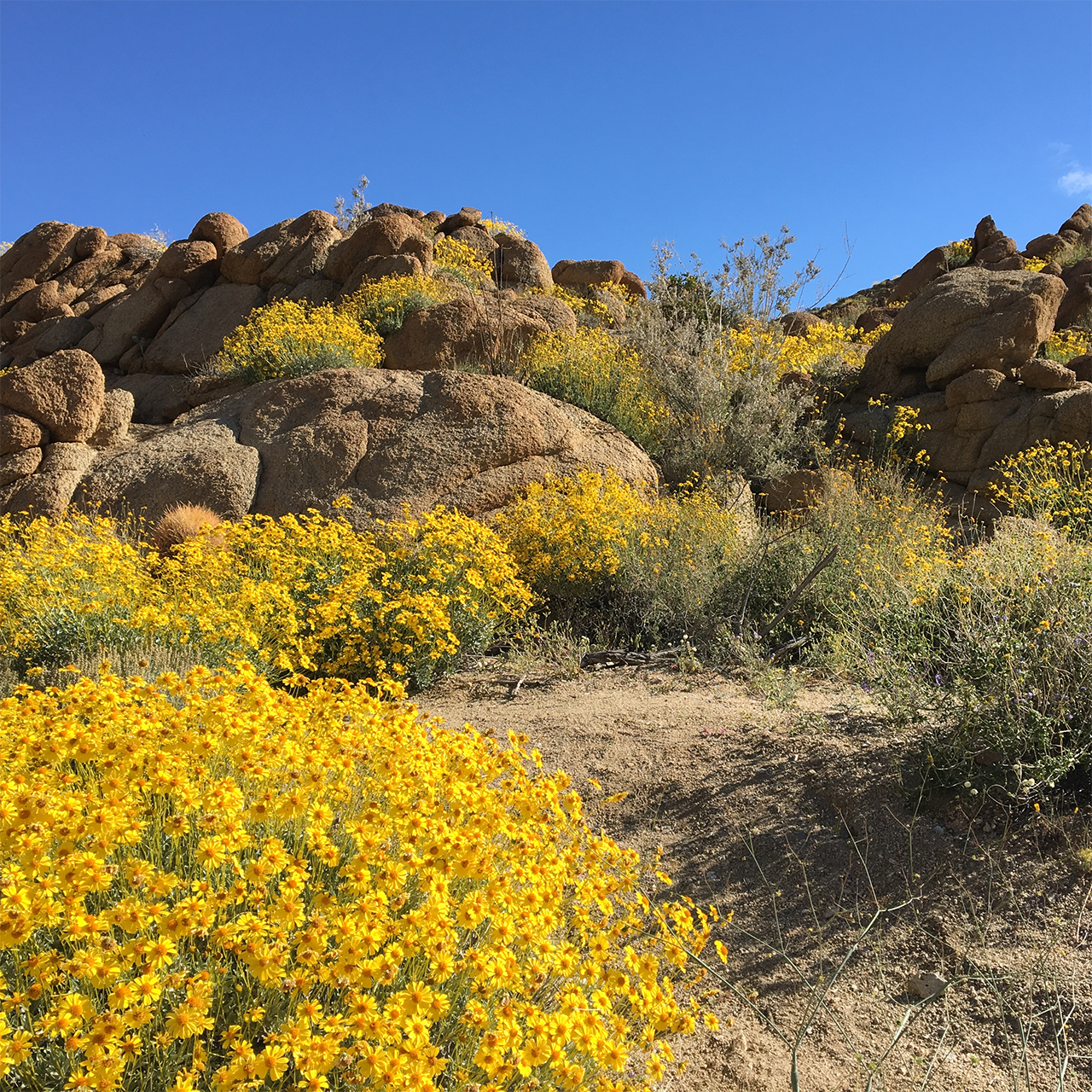 Evening sky over the high desert